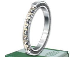 INA CSCG055 bearings